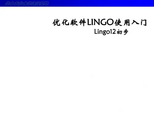 优化软件LINGO使用入门