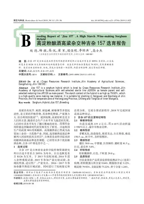 高淀粉酿酒高粱杂交种吉杂157选育报告