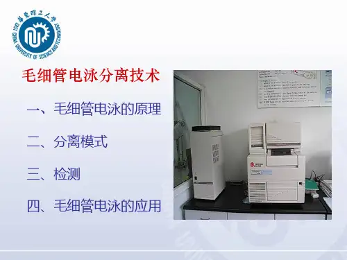 毛细管电泳分离技术