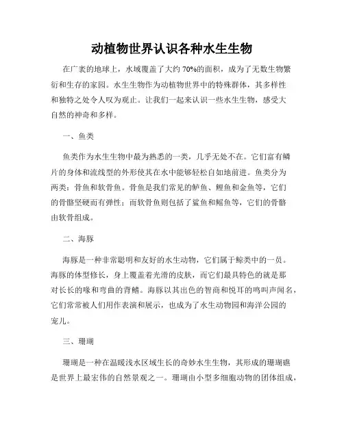 动植物世界认识各种水生生物