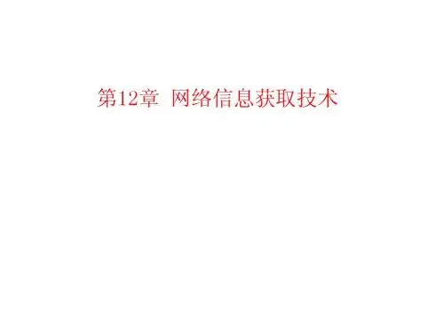 12第十二章网络信息获取技术