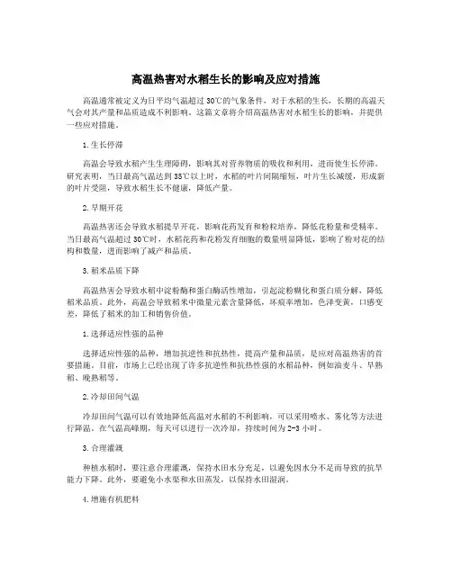 高温热害对水稻生长的影响及应对措施