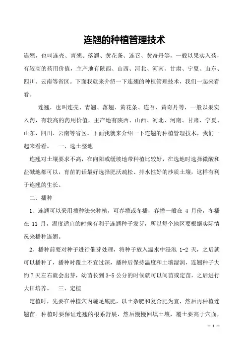 连翘的种植管理技术