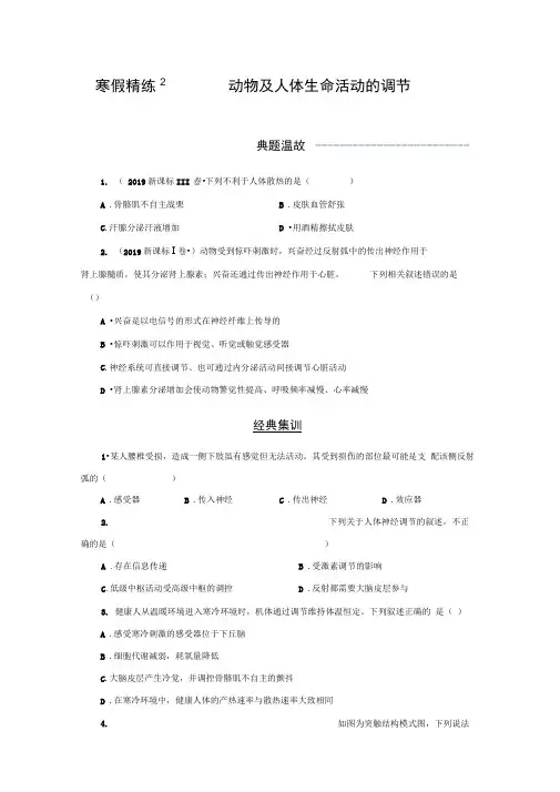 2019-2020学年上学期高二生物寒假作业精练：2动物及人体生命活动的调节Word版含解析