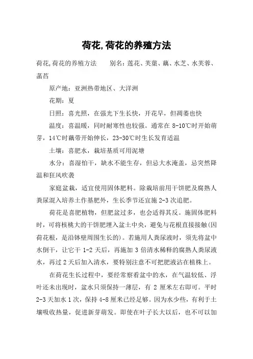 荷花,荷花的养殖方法