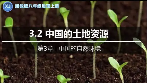 3.2 中国的土地资源-八年级地理上册课件(湘教版)
