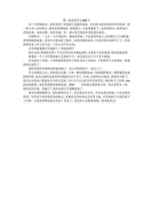 那一抹春色作文600字