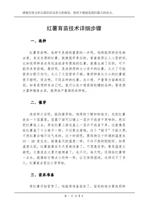 红薯育苗技术详细步骤