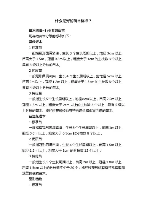 什么是好的苗木标准？