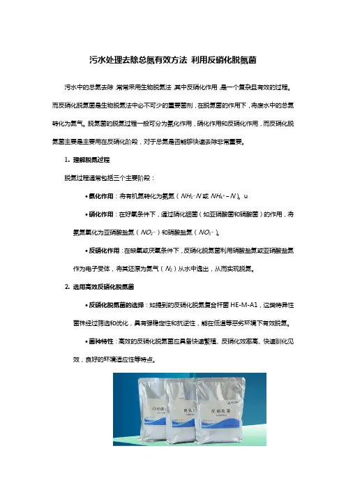 污水处理去除总氮有效方法 利用反硝化脱氮菌