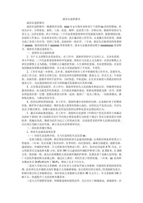 2019精选副县长述职报告_3