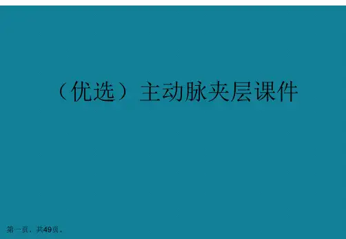演示文稿主动脉夹层课件