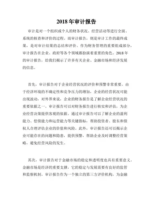 2018年审计报告