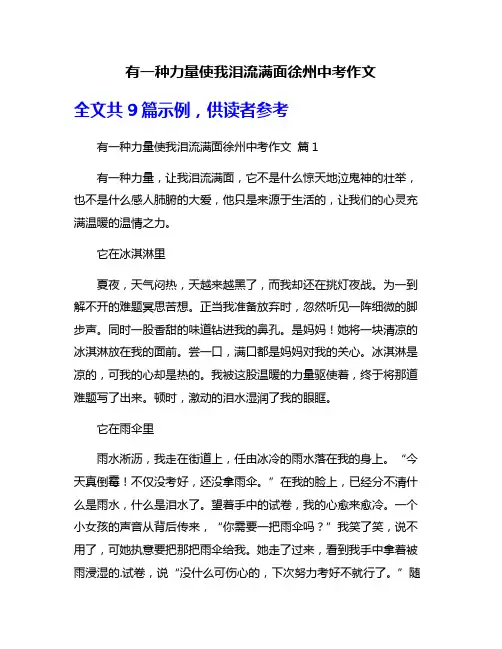 有一种力量使我泪流满面徐州中考作文