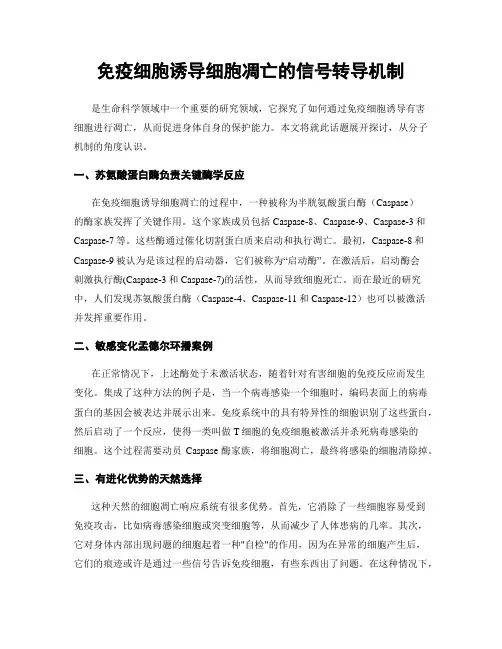 免疫细胞诱导细胞凋亡的信号转导机制