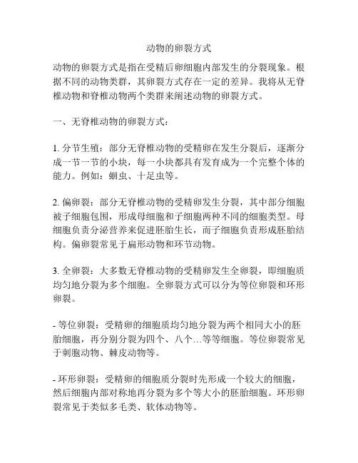 动物的卵裂方式