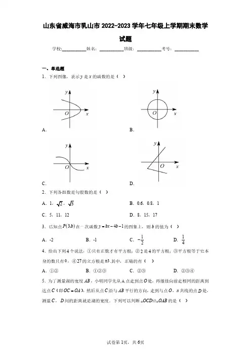 山东省威海市乳山市2022-2023学年七年级上学期期末数学试题(含答案解析)