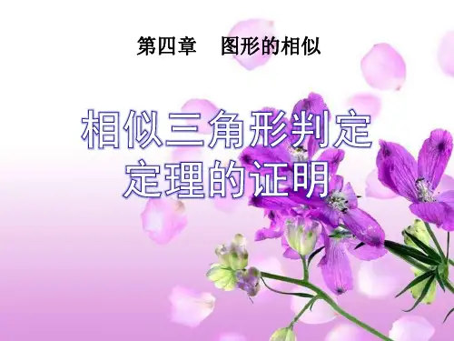北师大版九年级上册数学《相似三角形判定定理的证明》图形的相似说课教学复习课件