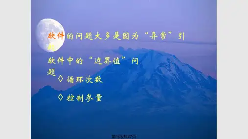 软件安全性测试PPT课件