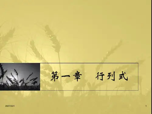 同济大学线性代数__第一章PPT课件