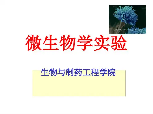 微生物学实验全套最新PPT课件