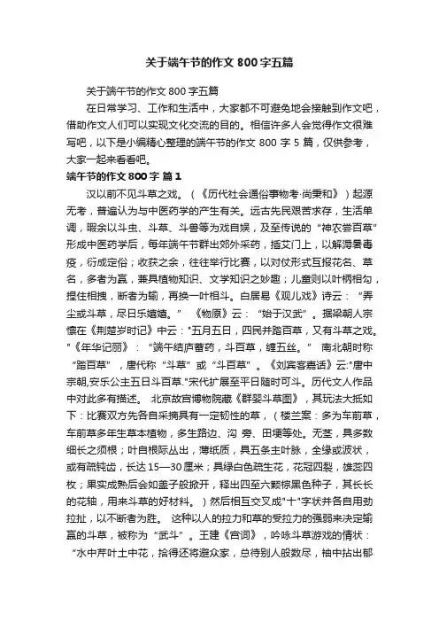 关于端午节的作文800字五篇