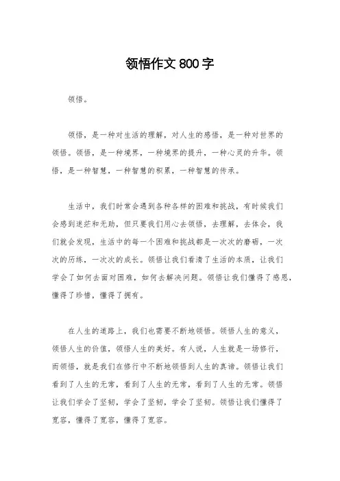 领悟作文800字