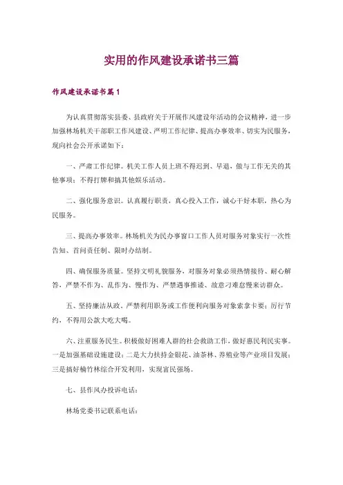 实用的作风建设承诺书三篇_2