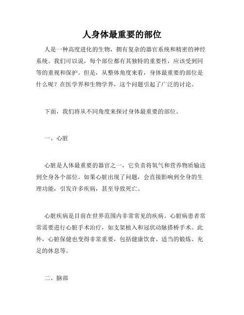 人身体最重要的部位