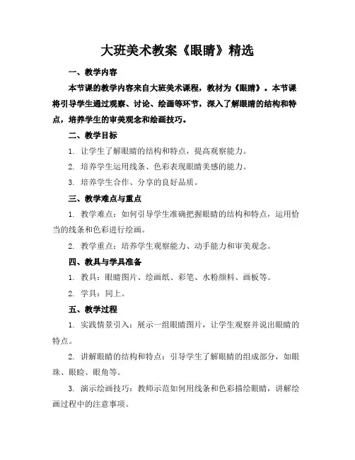 大班美术教案《眼睛》精选