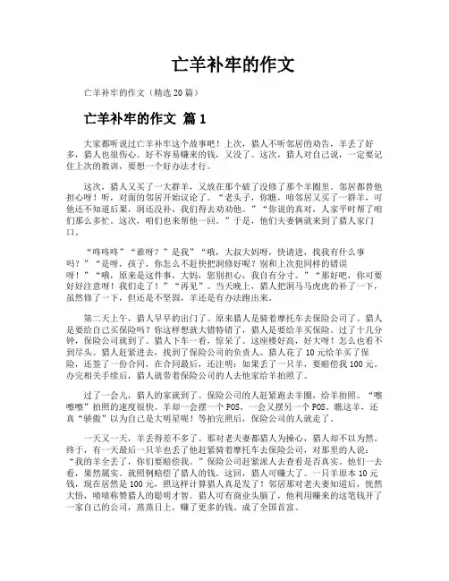 亡羊补牢的作文