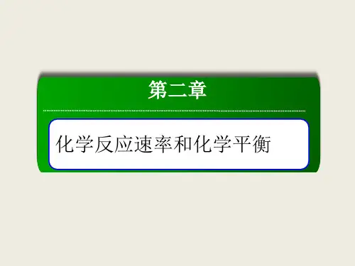 2-1化学反应速率和化学平衡PPT 93张