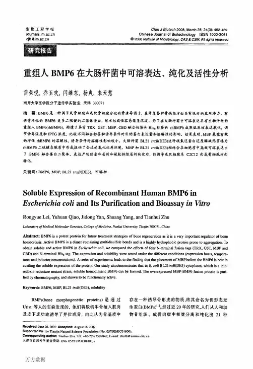 重组人BMP6在大肠杆菌中可溶表达、纯化及活性分析