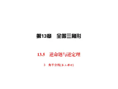 华师版数学八年级上册同步练习课件-第13章-13.5.3角平分线