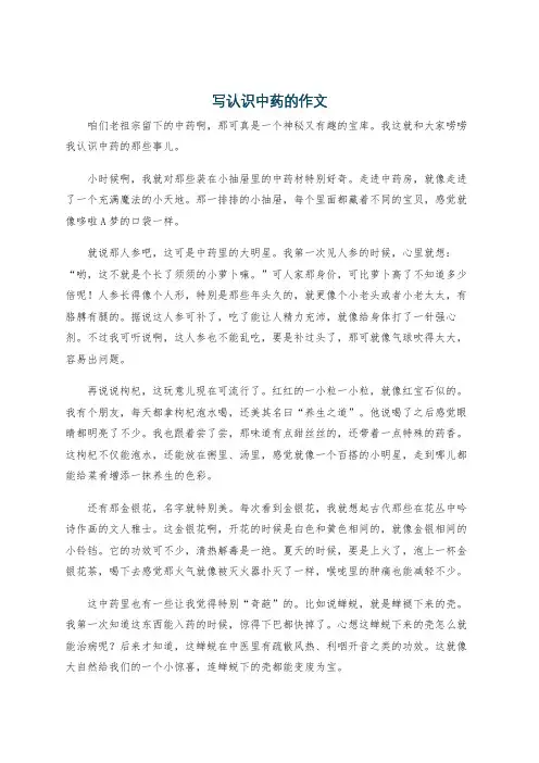 写认识中药的作文