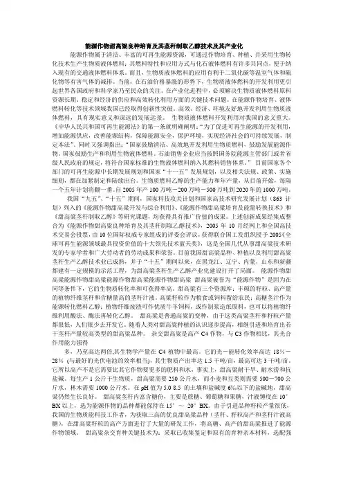 能源作物甜高粱良种培育及其茎秆制取乙醇技术及其产业化