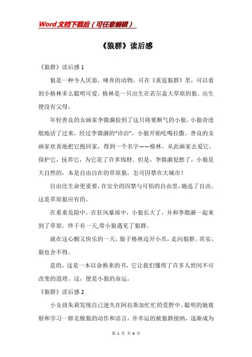 《狼群》读后感