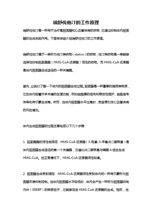 瑞舒伐他汀的工作原理