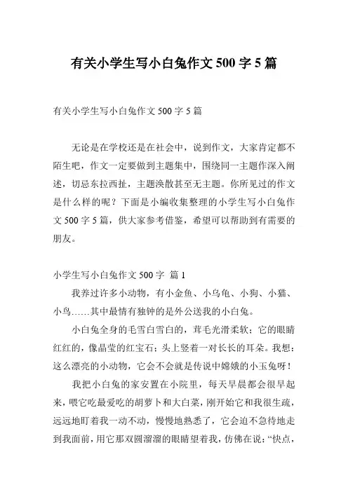 有关小学生写小白兔作文500字5篇