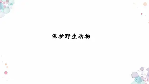 保护野生动物(课件)-小学生主题班会