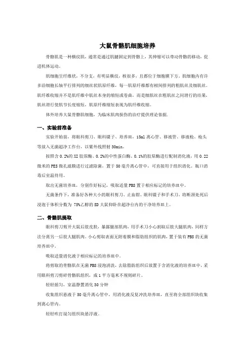 大鼠骨骼肌细胞培养实验指导