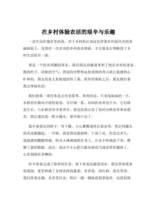 在乡村体验农活的艰辛与乐趣