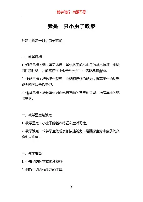 我是一只小虫子教案