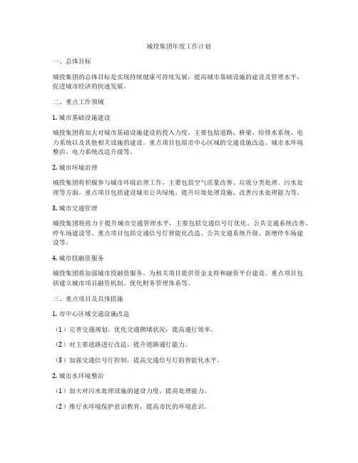 城投集团年度工作计划