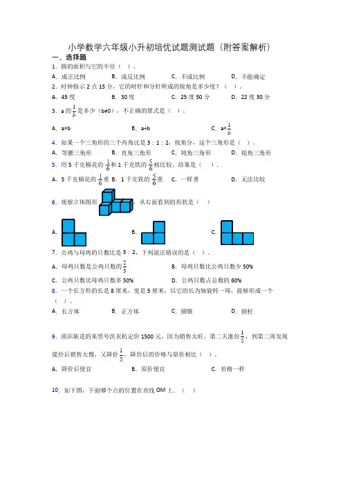 小学数学六年级小升初培优试题测试题(附答案解析)