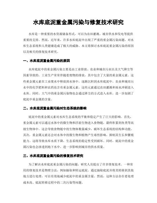 水库底泥重金属污染与修复技术研究