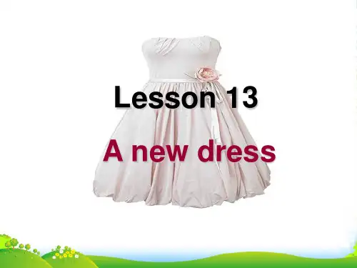 新概念英语Lesson13-14(共47页)课件