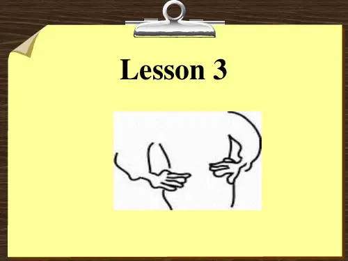 英语惯用法教程——隐喻学视角 PPT Unit 3