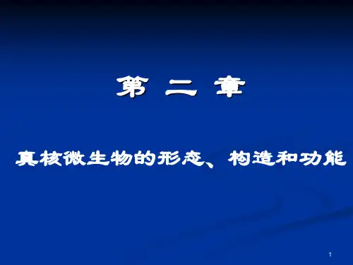 微生物学(周德庆版)第二章 真核生物的形态、构造、功能