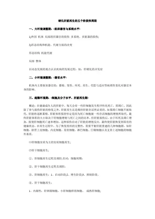 硬化肝脏再生的五个阶段性周期